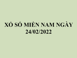 xsmn242